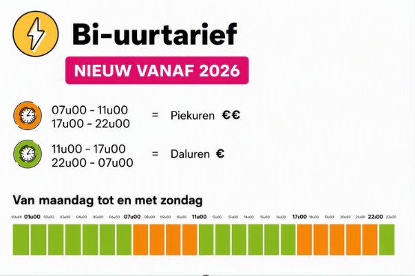 Afbeelding piek- en daluren Wallonië