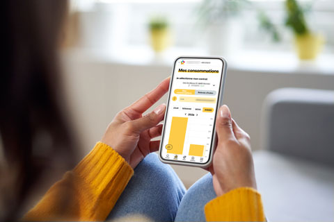 myMega App energie picture